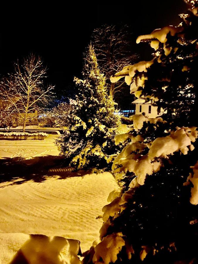Hotel Jiricna Sušice Dış mekan fotoğraf
