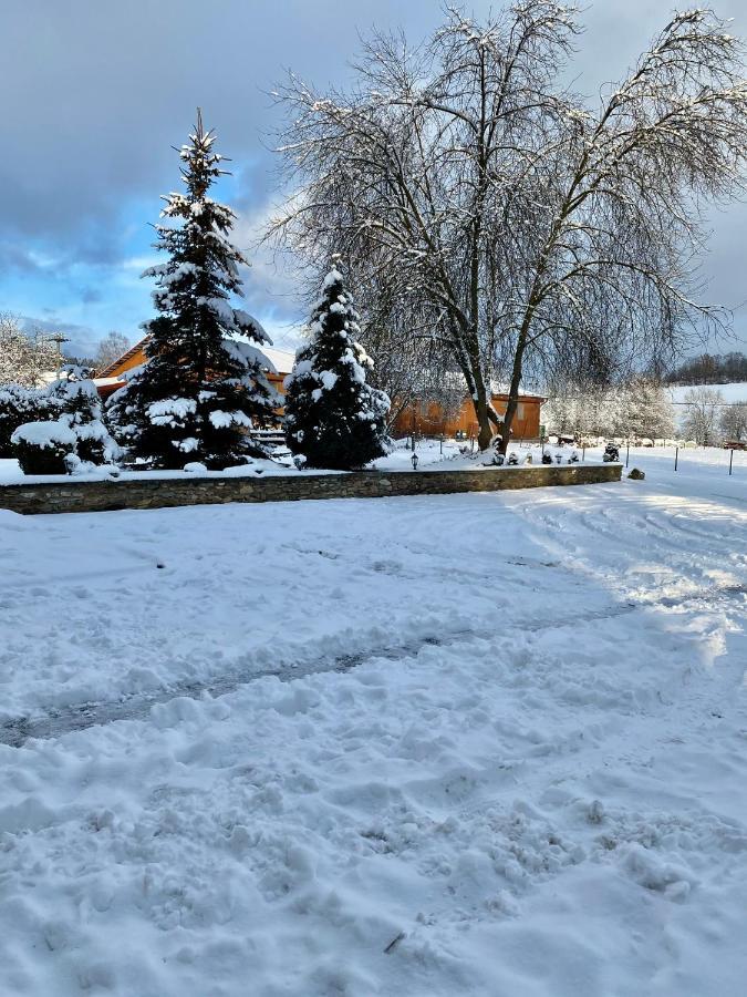 Hotel Jiricna Sušice Dış mekan fotoğraf