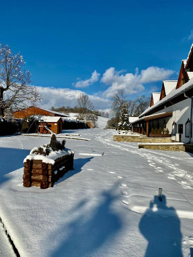 Hotel Jiricna Sušice Dış mekan fotoğraf